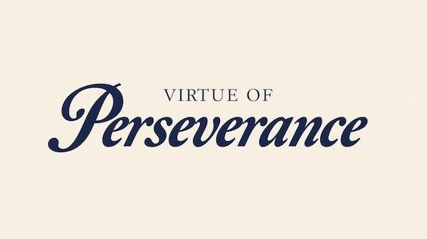 Daily Virtue Reflections: Perseverance